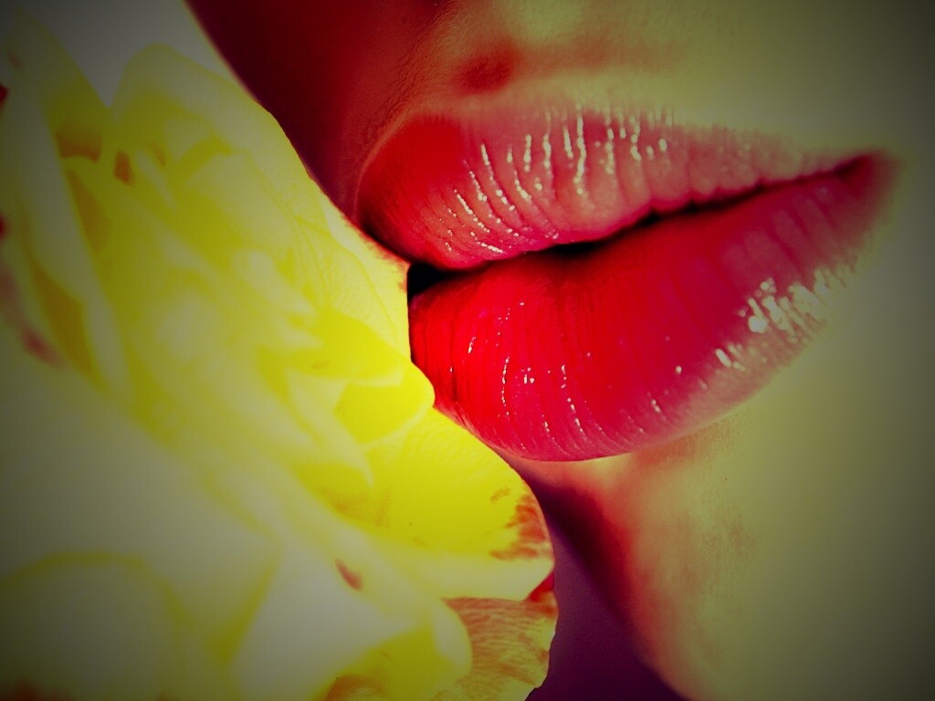 Губы девушки и роза обои