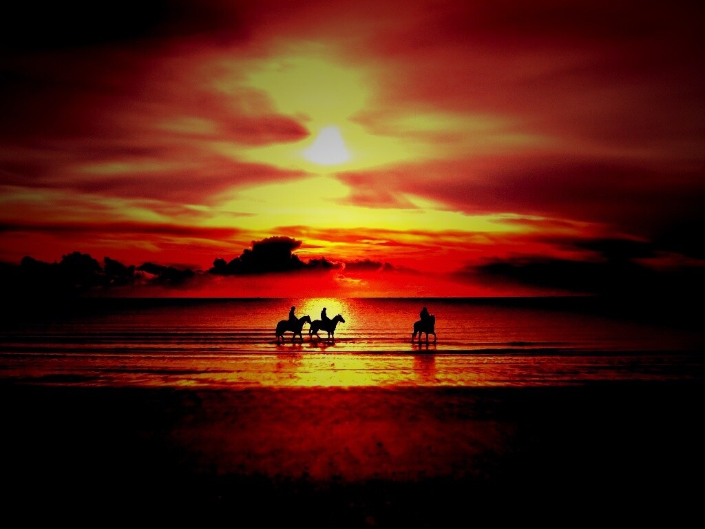 Наездники на закате обои