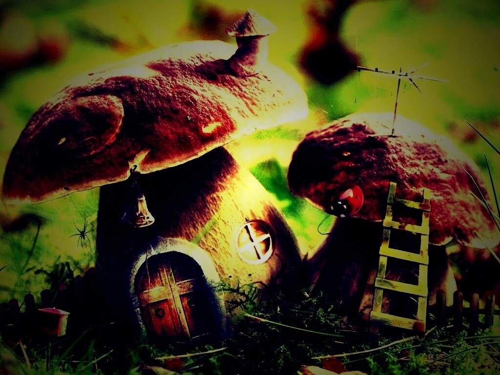Грибы домики обои