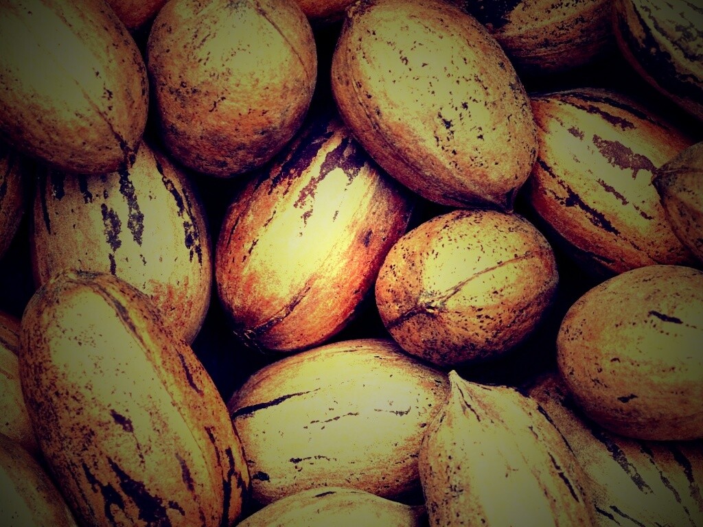 Грецкие орехи обои