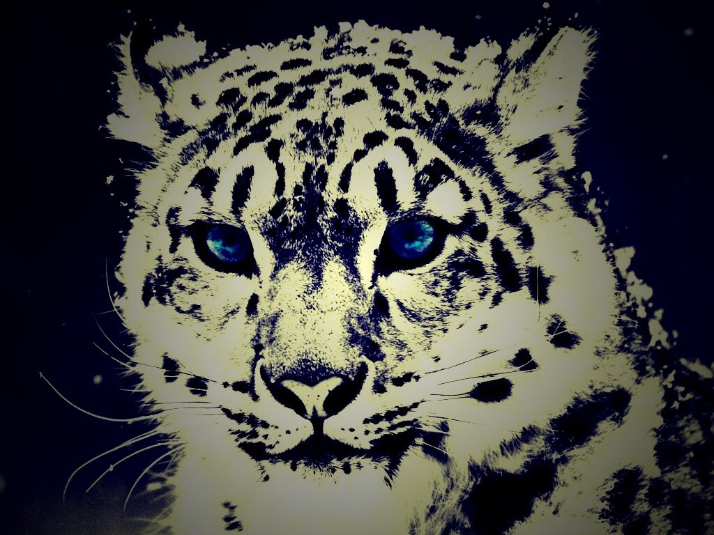 Снежный барс обои