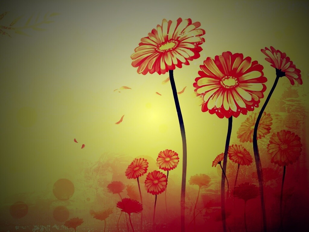 Векторные ромашки обои