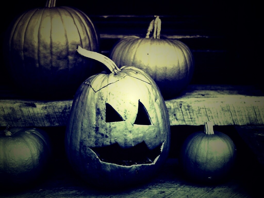 Тыквы на хэллоуин обои