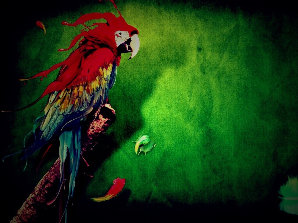 Попугай на ветке обои
