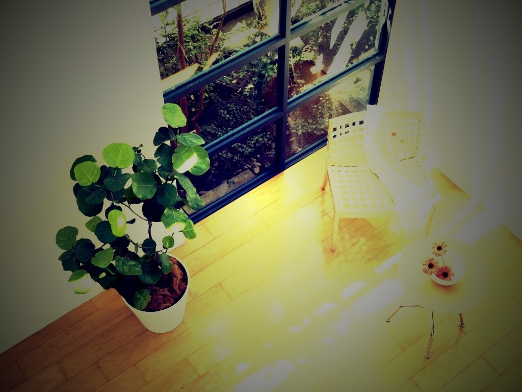 Стул, столик и цветы в комнате обои