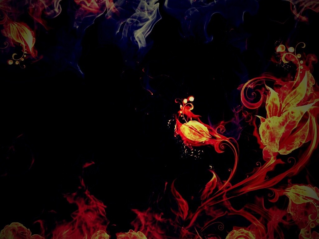 Огненные цветы обои