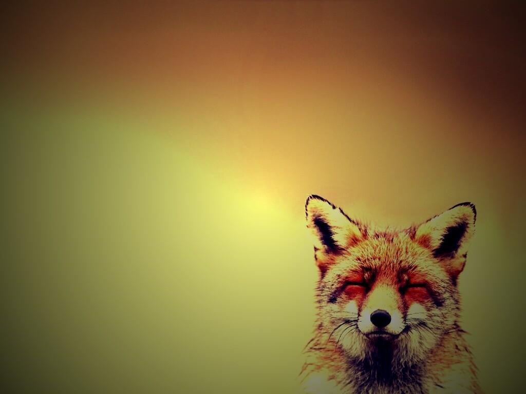 ^_^ Fox обои