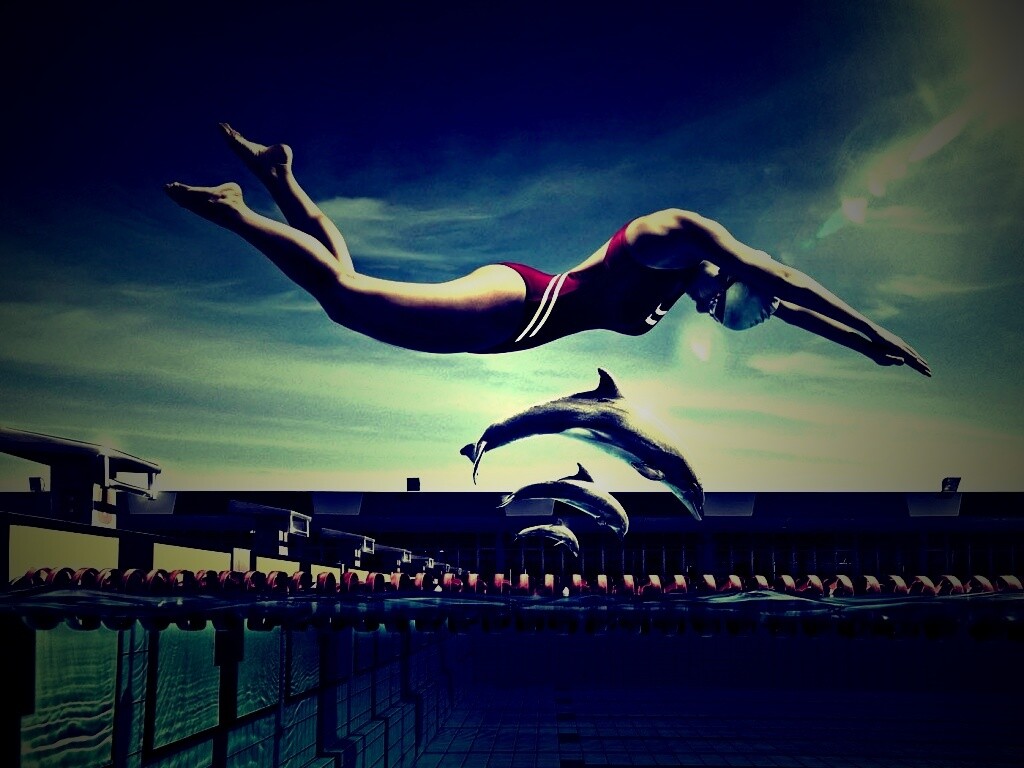 Соревнование обои