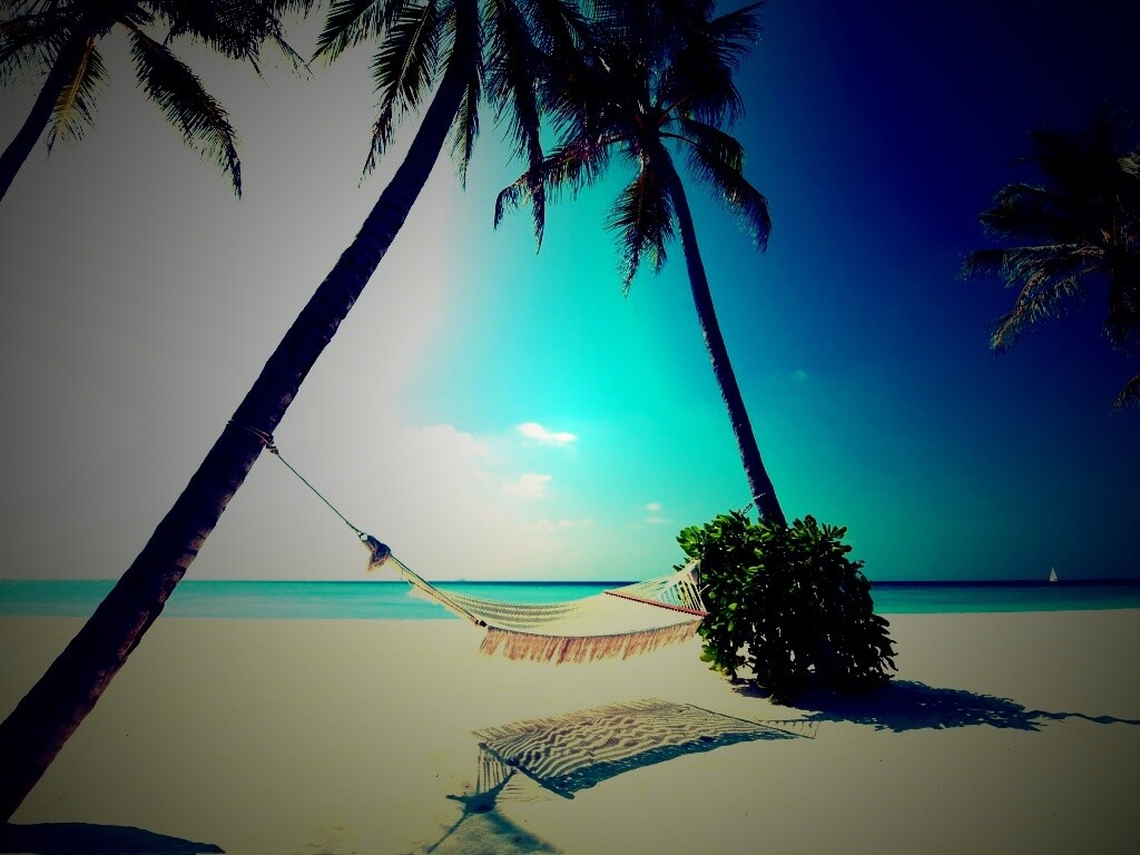 Тропический рай обои