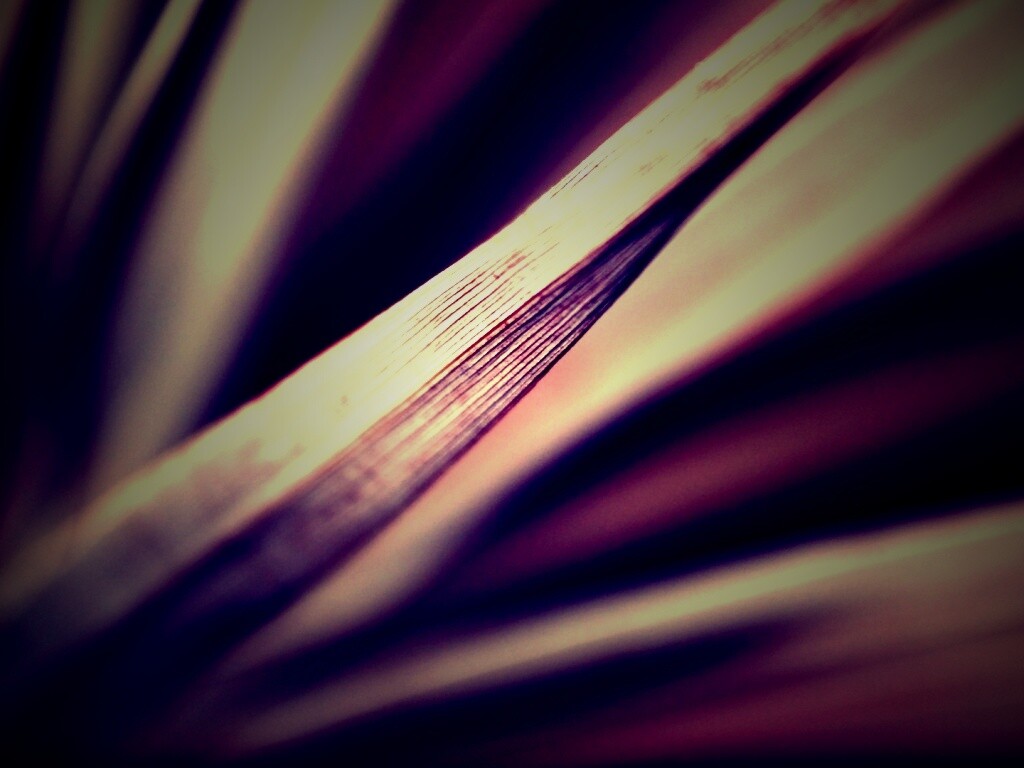 Сухое растение обои