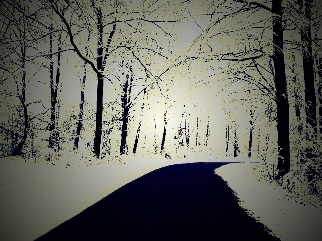 Дорога в зимнем лесу обои