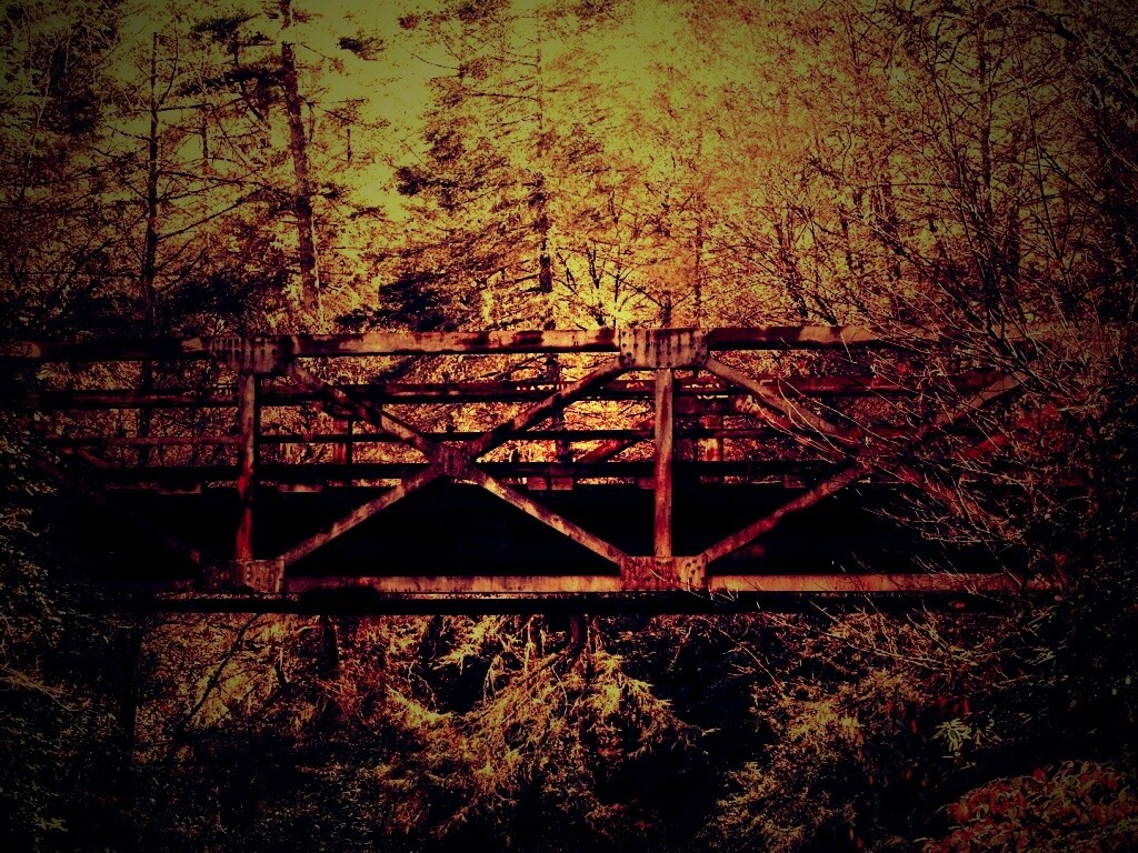 Металлический мост в лесной глуши обои