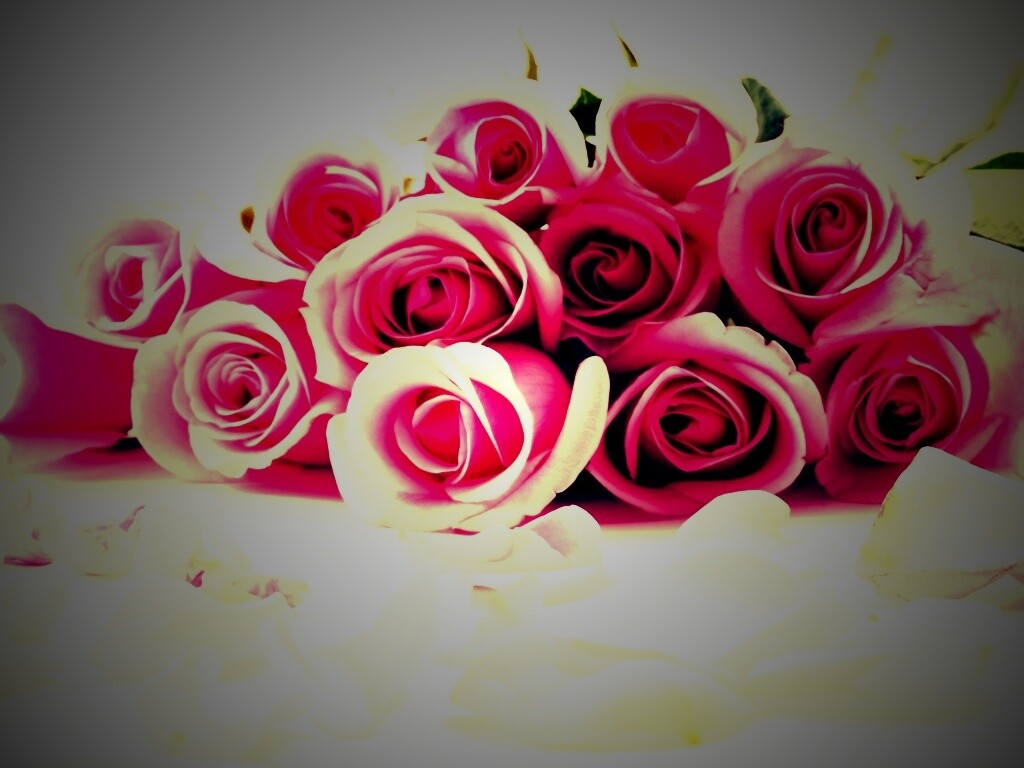 Букет роз обои