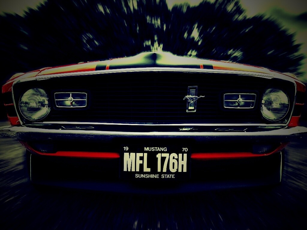 Мустанг обои