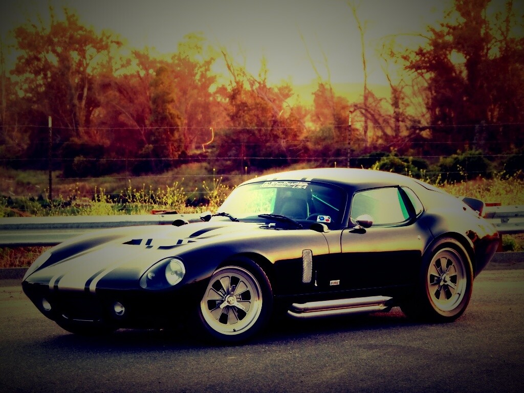 Shelby Daytona обои