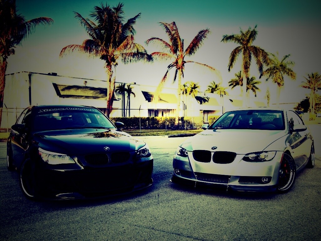 Две БМВ обои