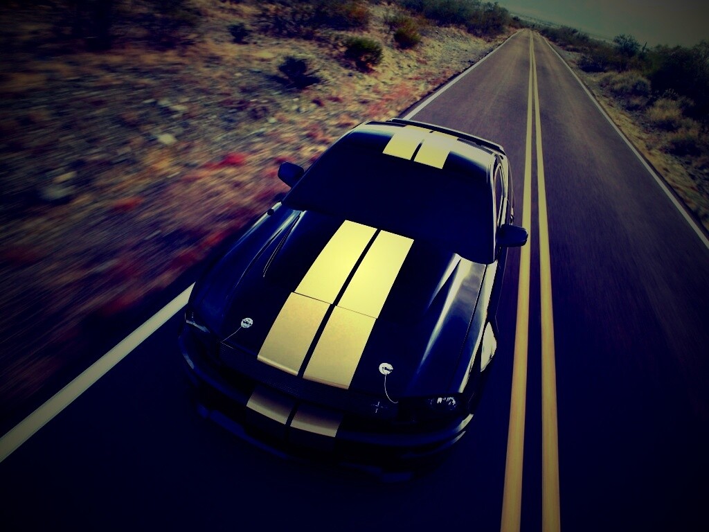 Ford Mustang  с гоночными полосками обои