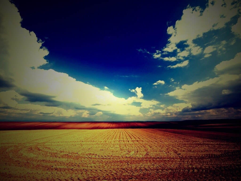 Незасеянное поле обои