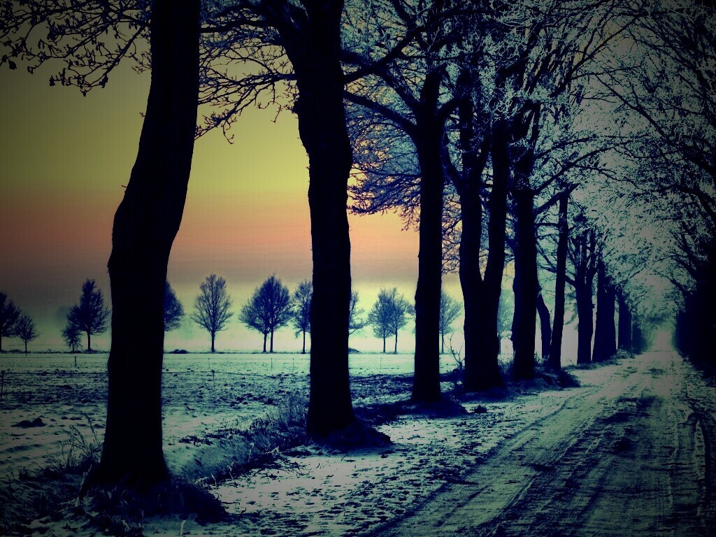 Морозное утро обои