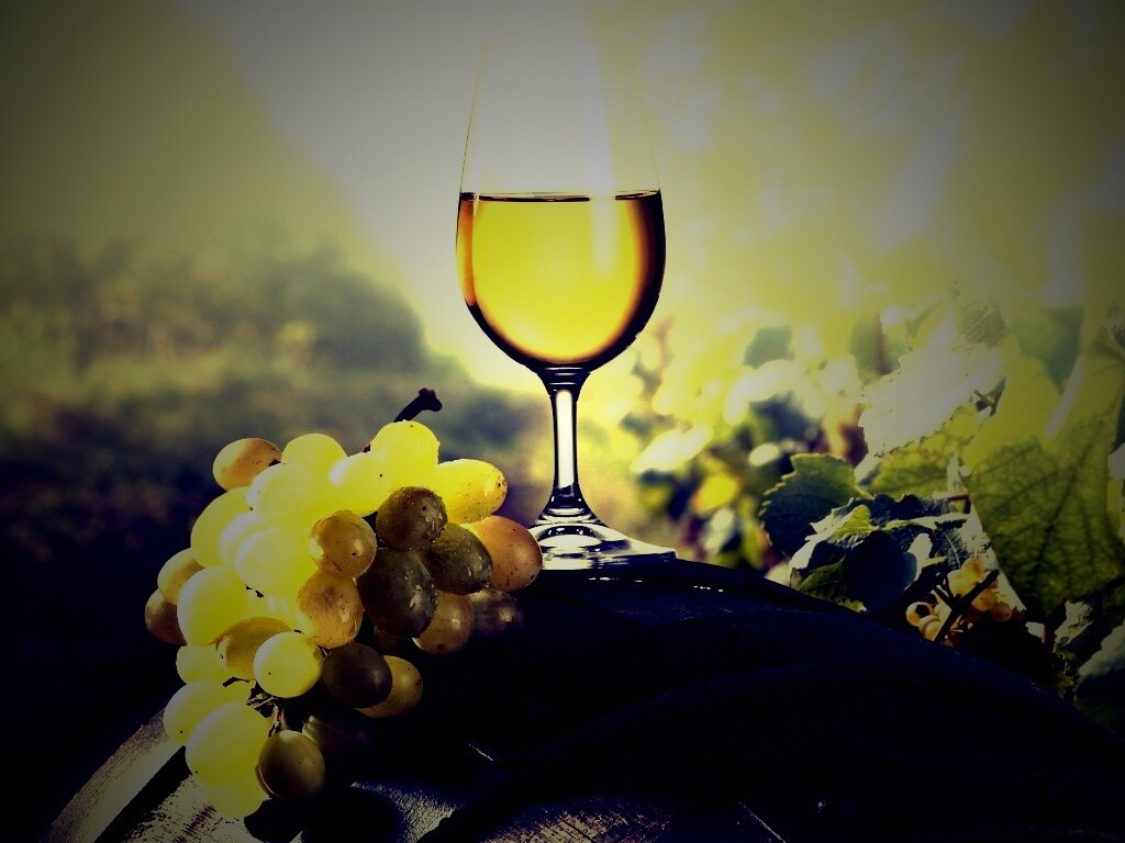 Винная бочка и бокал с белым вином обои