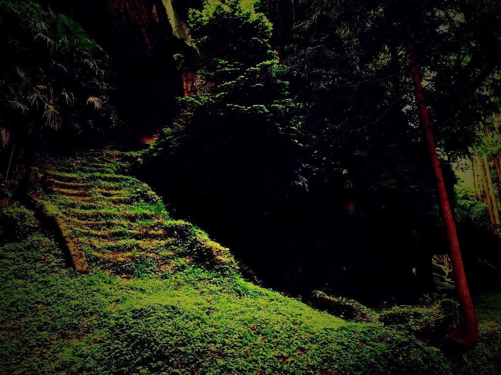 Старинный лесной храм обои