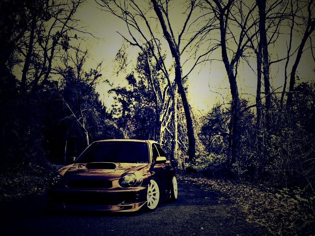 Субару Импреза на лесной дороге обои