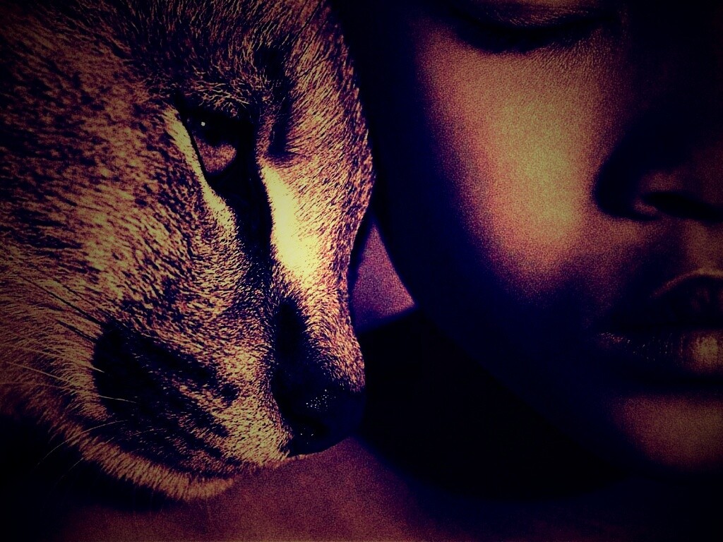 Человек и природа обои