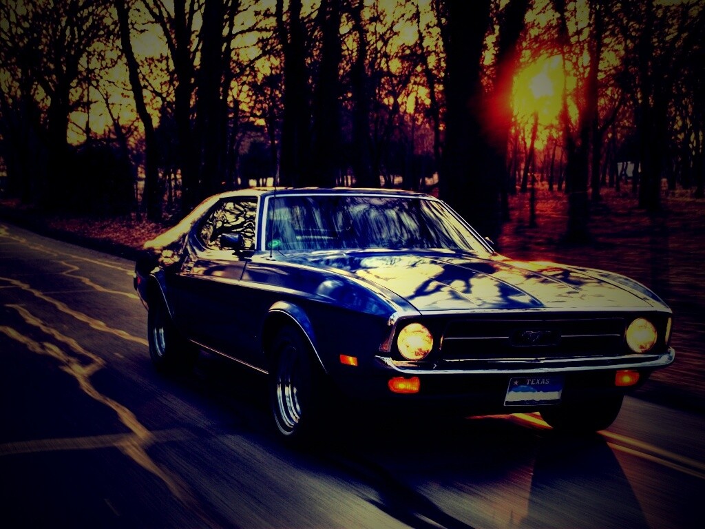 Мустанг обои