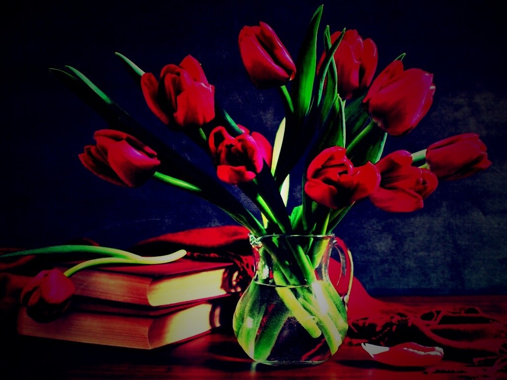 Букет красных тюльпанов обои