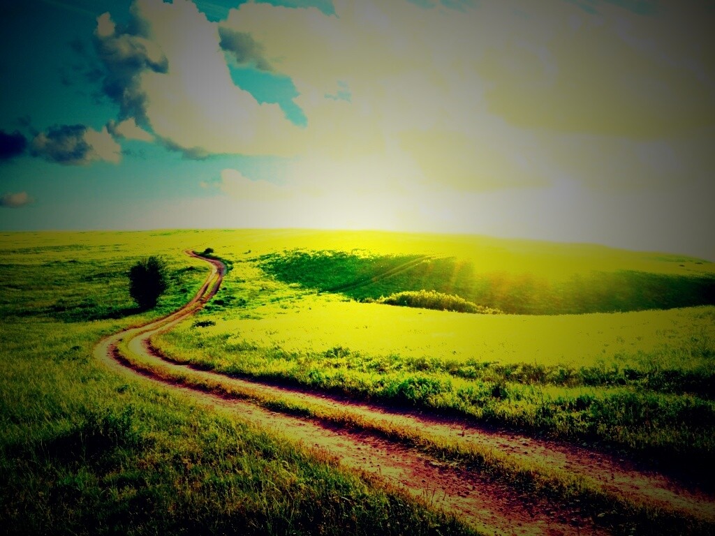 Дорога через луг обои