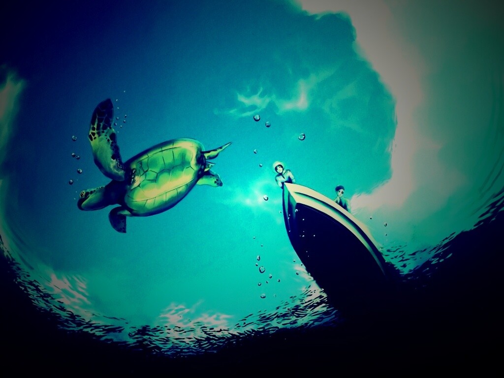 Катер и водная черепаха обои