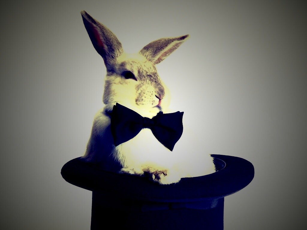 Кролик в цилиндре фокусника обои