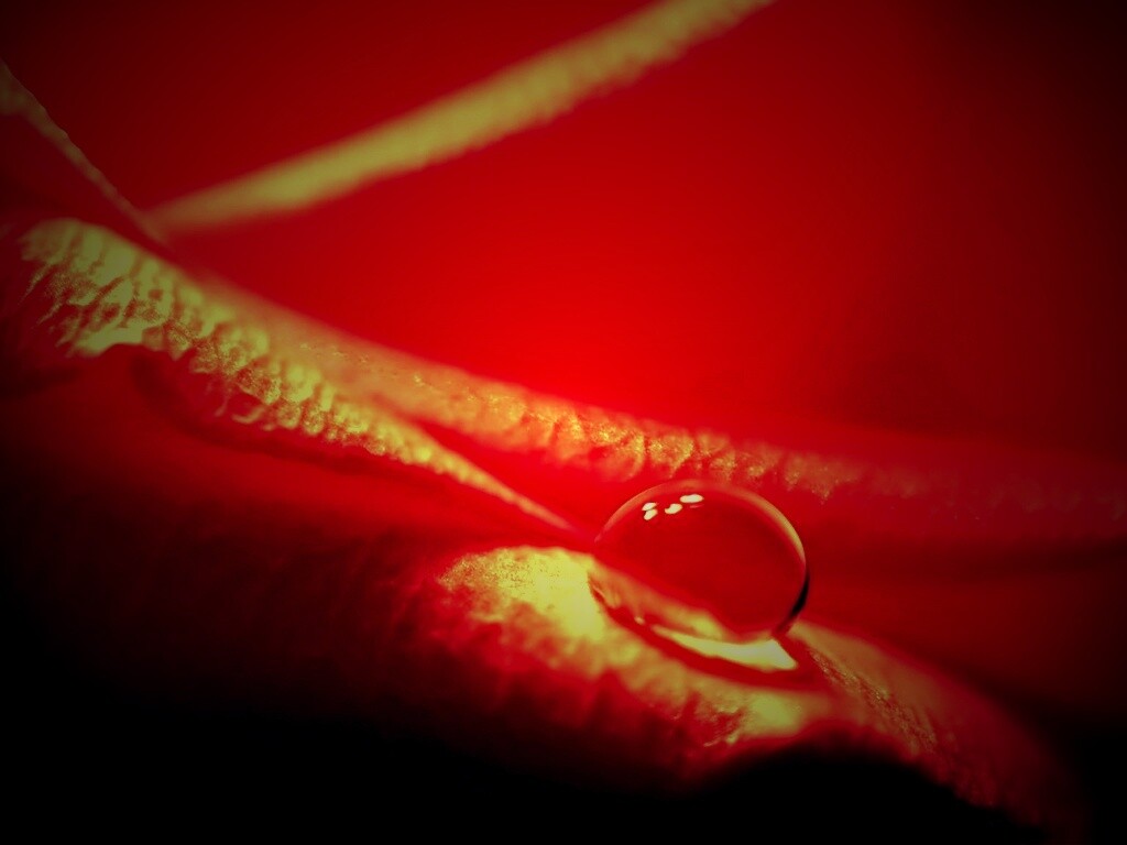 Капелька обои