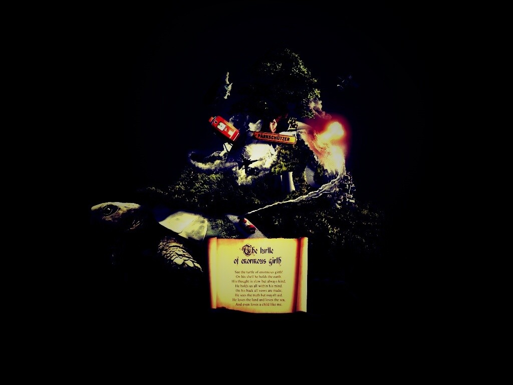 Огромная в обхвате черепаха обои