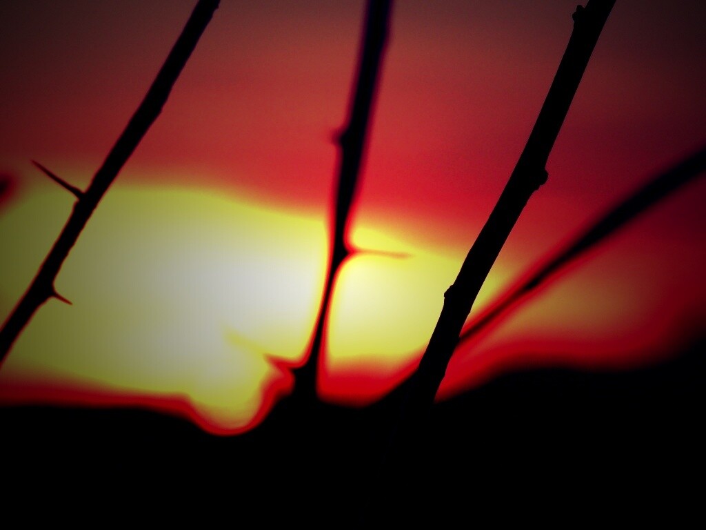 Закат солнца в поле обои