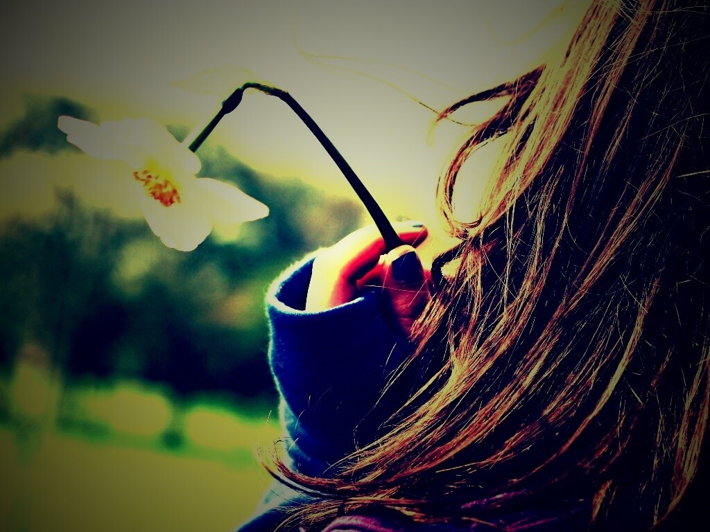 Девушка с нарциссом в руке обои