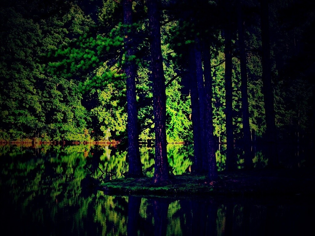 Островок посреди озера обои