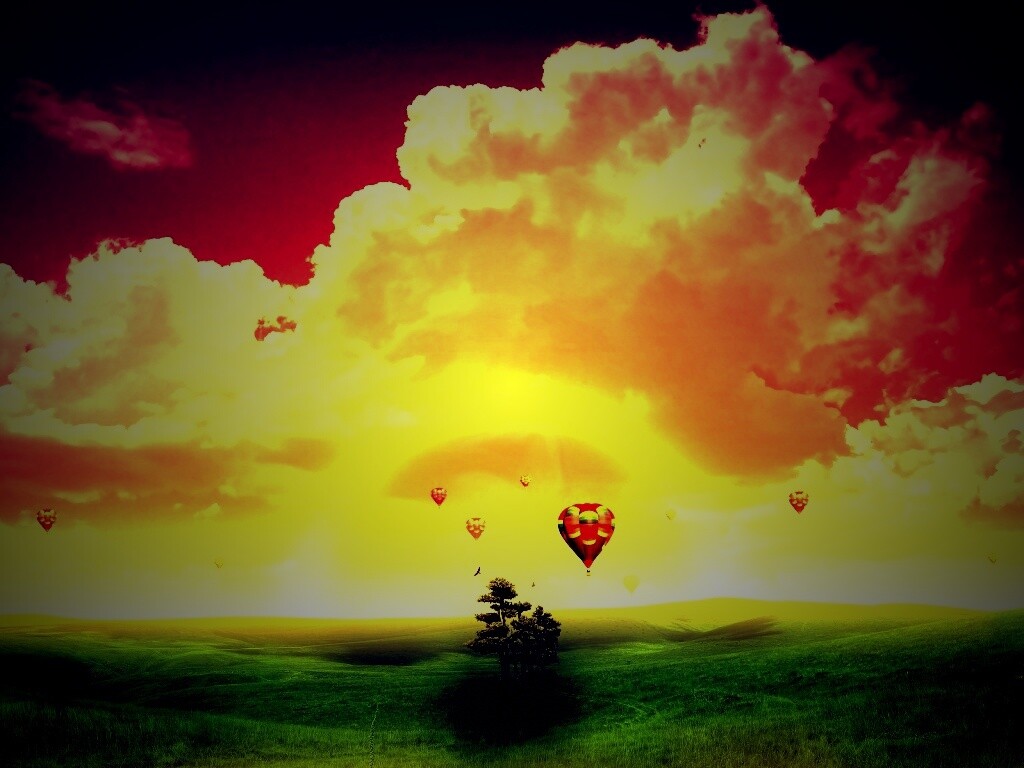 Мечты о полёте обои