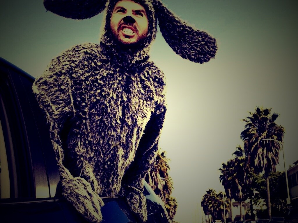 Wilfred обои