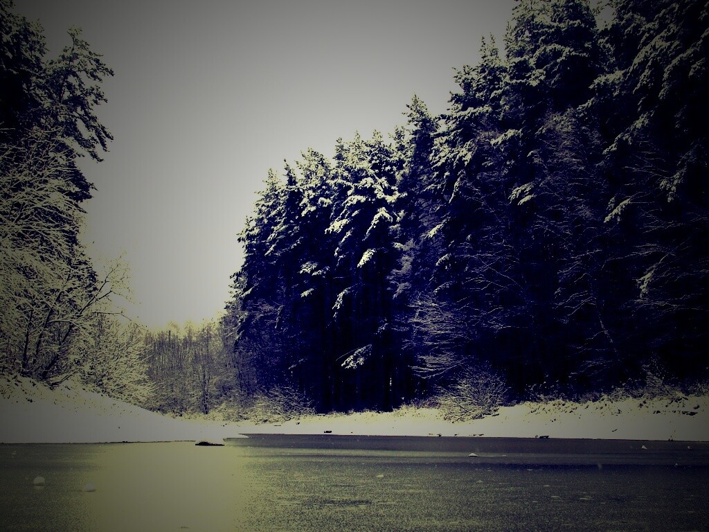 Зимняя дорога обои