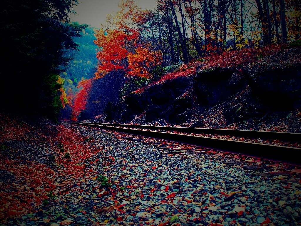 Железная дорога в скалистой местности обои