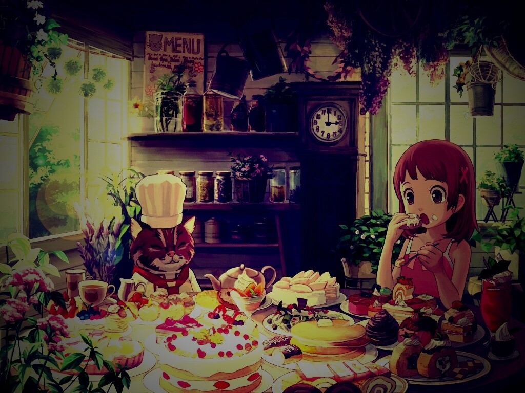 У кота повара обои