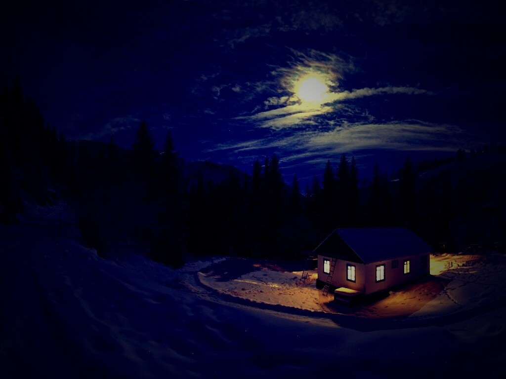 Один в зимнем лесу обои