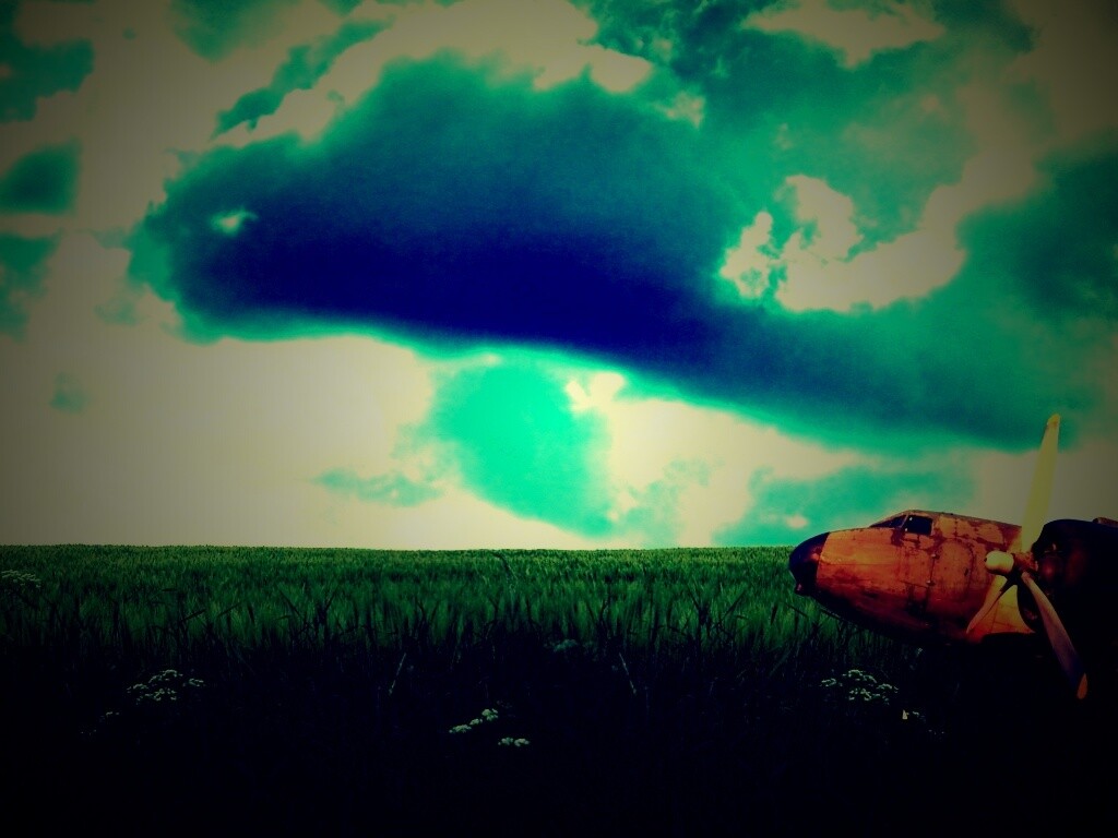 Старый ржавый самолет на лугу обои