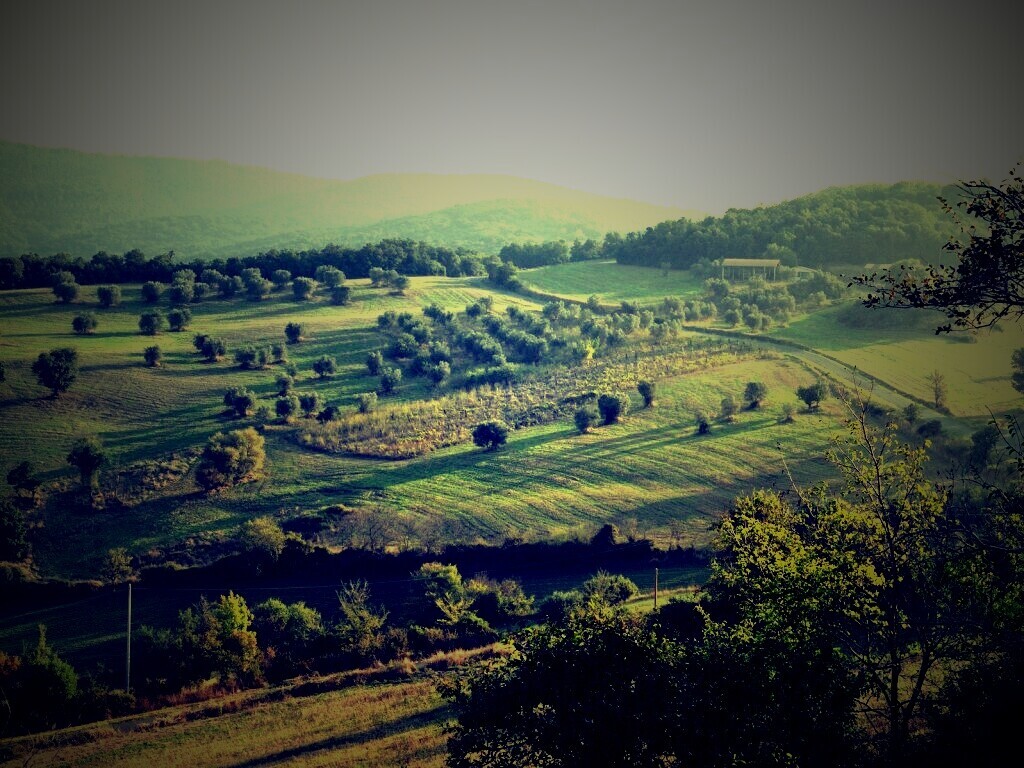 Ферма в долине обои