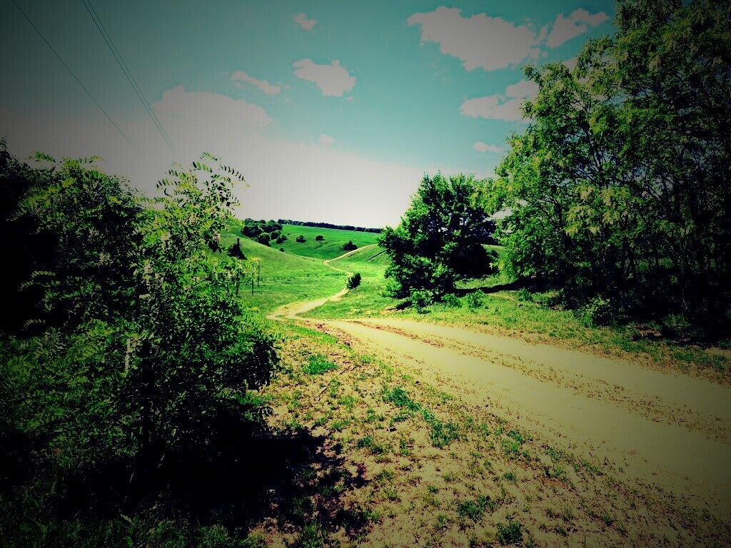 Просёлочная дорога обои