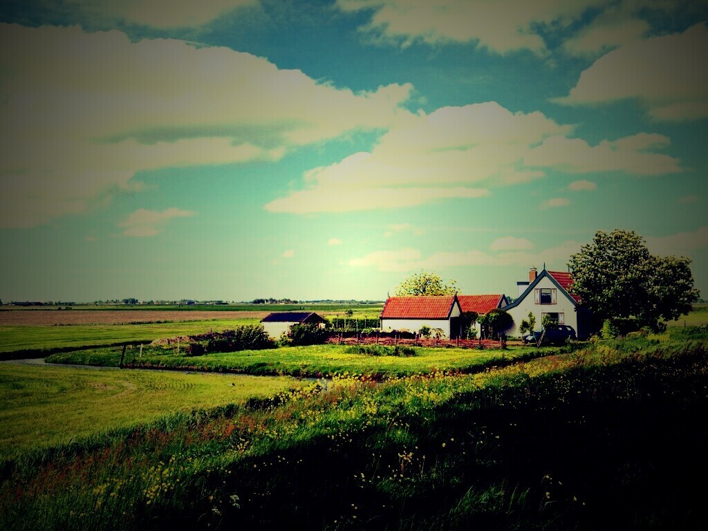 дом на лугу обои