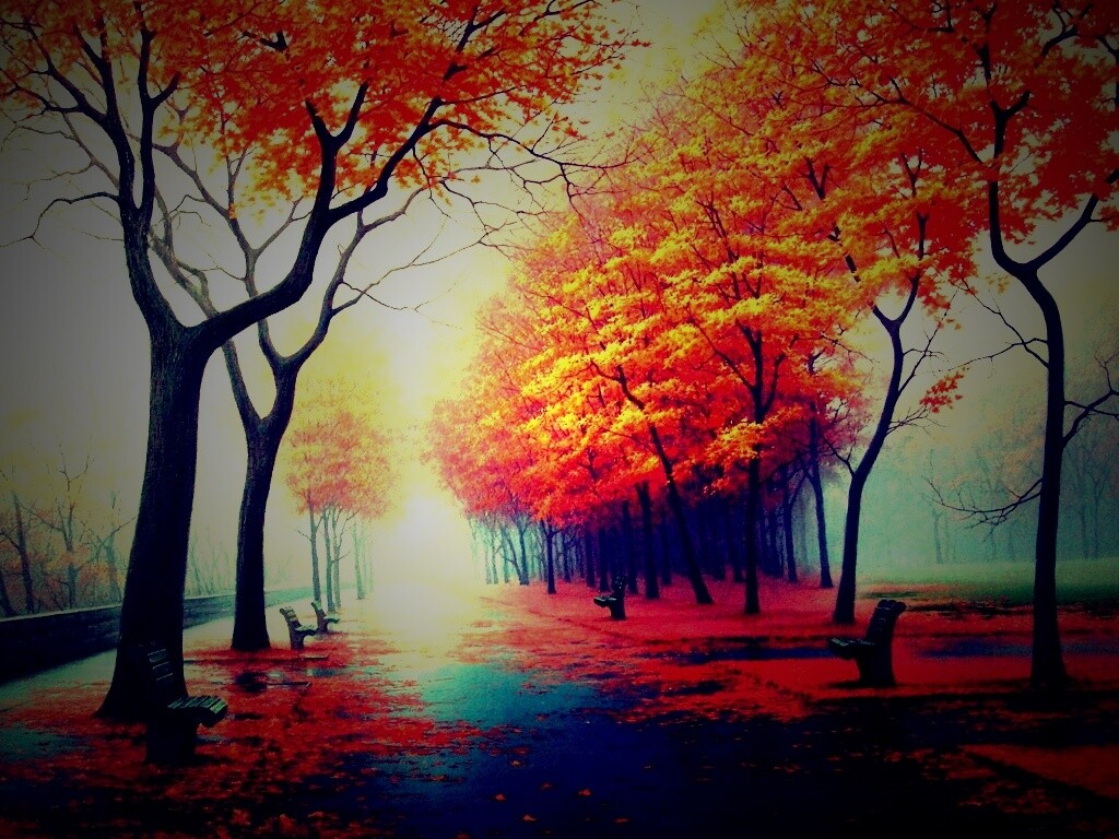 Дорога в осень обои