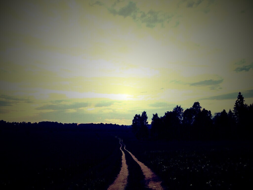 Дорога к лесу обои