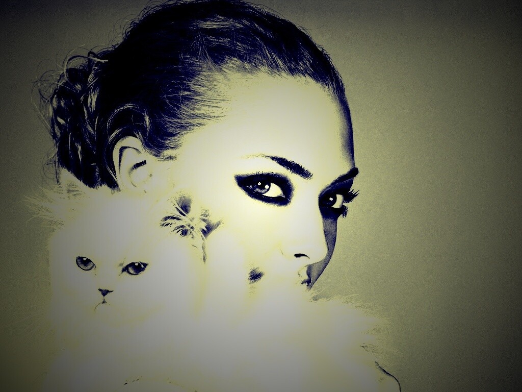 Девушка с кошкой обои